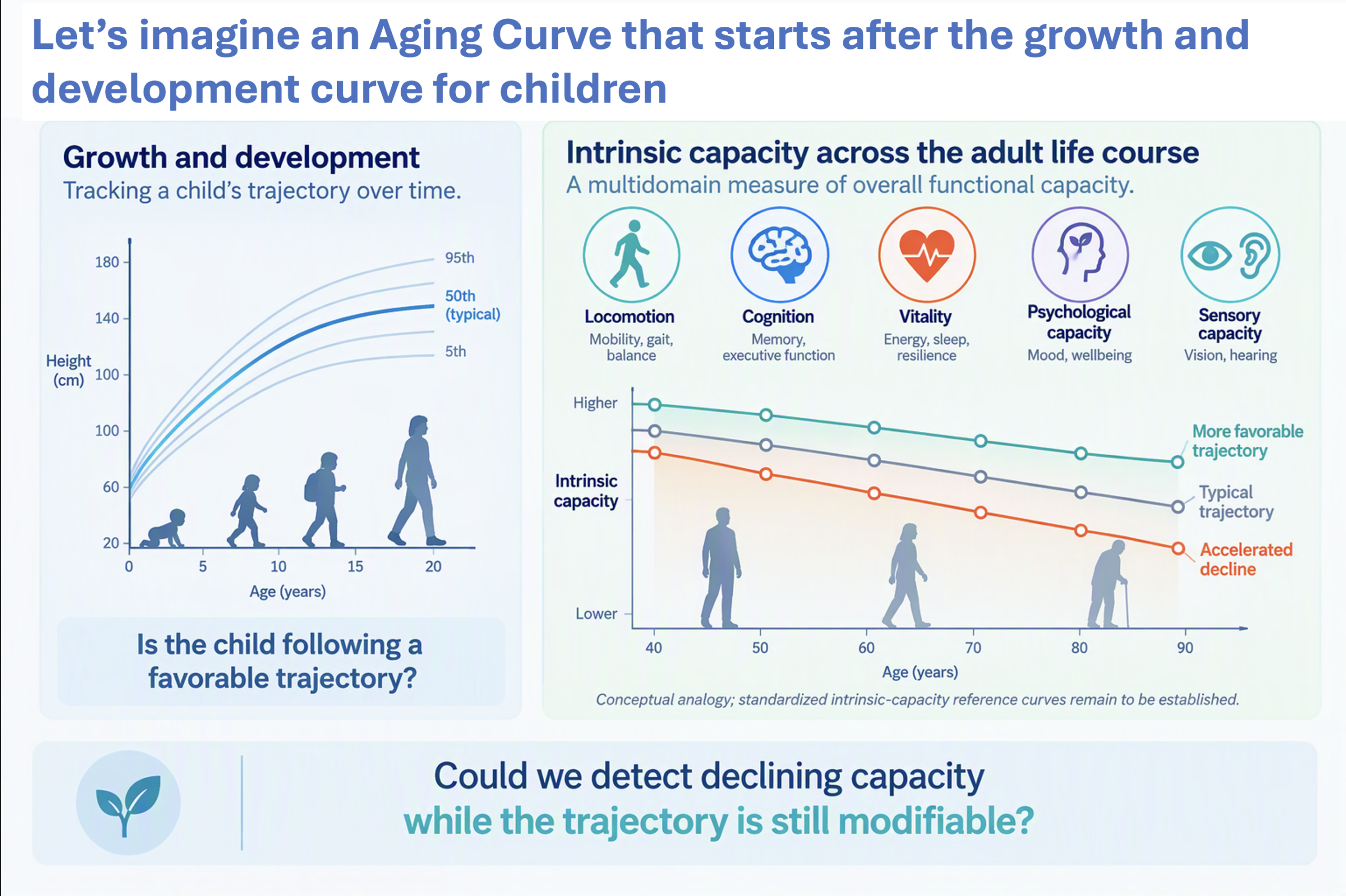 Let's imagine an aging curve that starts after the growth and development curve for children. It could monitor intrinsic capacity across the adult life course, including factors like locomotion, cognition, vitality, physiological capacity, and sensory capacity. Could we detect declining capacity while the trajectory is still modifiable?